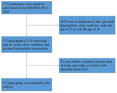 Associations between antimony exposure and glycated hemoglobin levels in adolescents aged 12–19 years: results from the NHANES 2013–2016